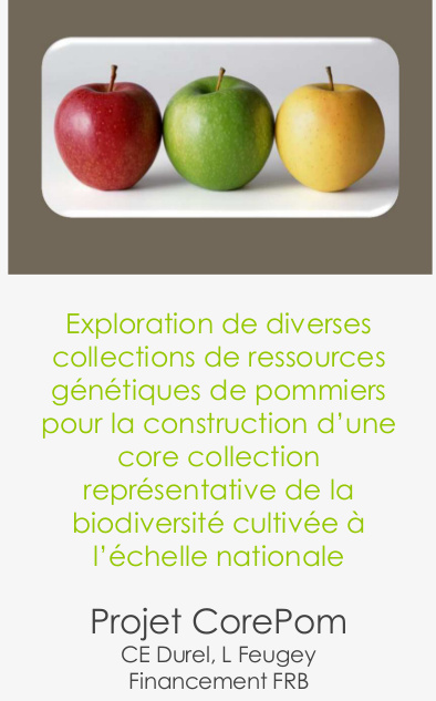 Présentation du projet CorePom, cliquez pour en savoir plus. Presentation du projet CorePom