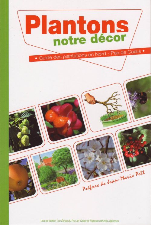Plantons notre décor