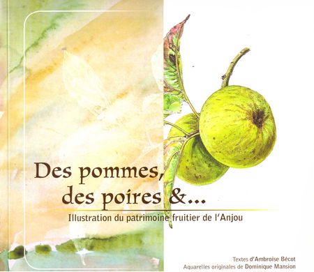 Pommes et poires d'Anjou