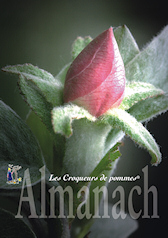 almanach2010