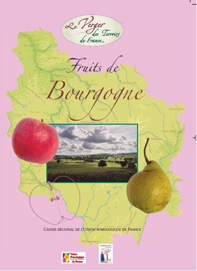 bourgogne