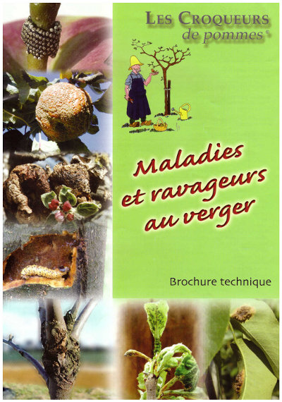 maladies et ravageurs