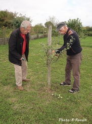 Taille vert Octobre 2019 05