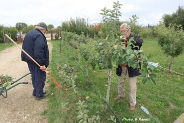 Taille vert Octobre 2019 06