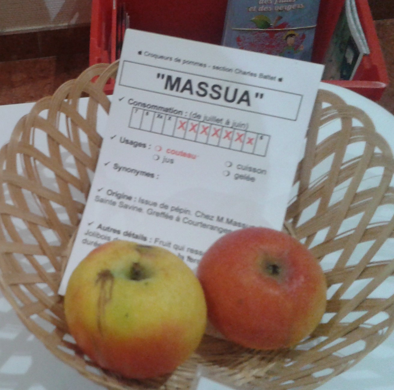 massua 2